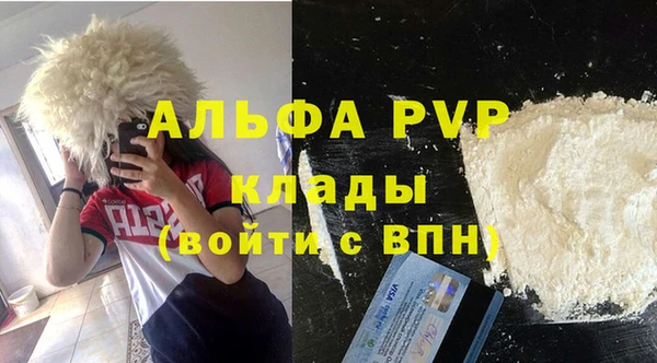 твердый Абаза