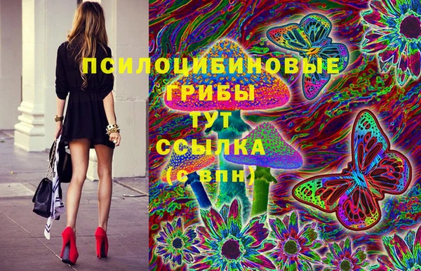 твердый Абаза